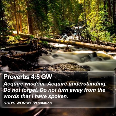 Proverbs 4:5 GW Bible Verse Image