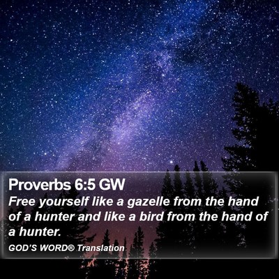 Proverbs 6:5 GW Bible Verse Image