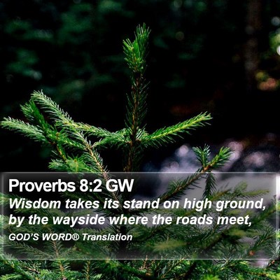 Proverbs 8:2 GW Bible Verse Image