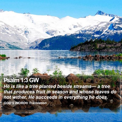 Psalm 1:3 GW Bible Verse Image