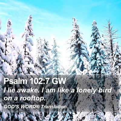 Psalm 102:7 GW Bible Verse Image