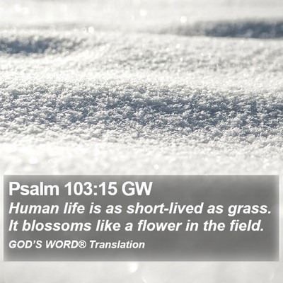 Psalm 103:15 GW Bible Verse Image