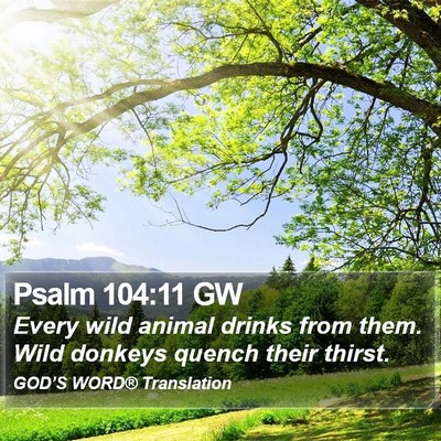 Psalm 104:11 GW Bible Verse Image