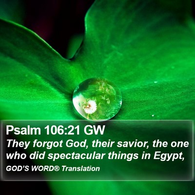 Psalm 106:21 GW Bible Verse Image