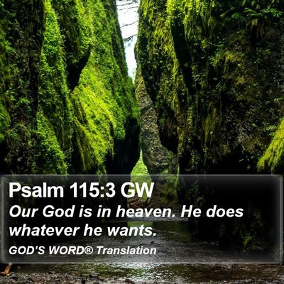Psalm 115:3 GW Bible Verse Image