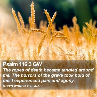 Psalm 116:3 GW Bible Verse Image
