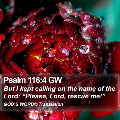 Psalm 116:4 GW Bible Verse Image