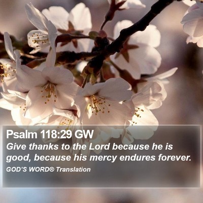 Psalm 118:29 GW Bible Verse Image