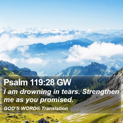 Psalm 119:28 GW Bible Verse Image