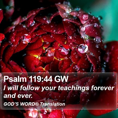 Psalm 119:44 GW Bible Verse Image