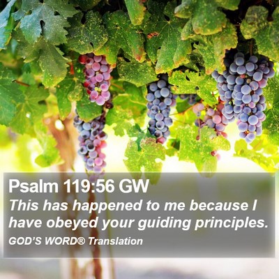 Psalm 119:56 GW Bible Verse Image