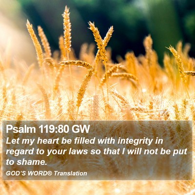 Psalm 119:80 GW Bible Verse Image
