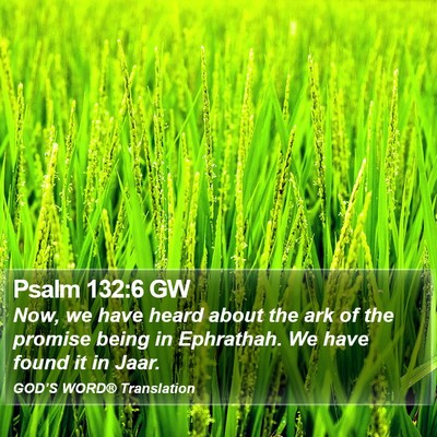 Psalm 132:6 GW Bible Verse Image