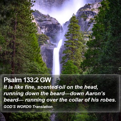 Psalm 133:2 GW Bible Verse Image