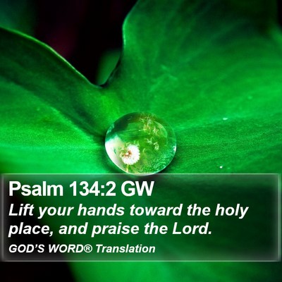 Psalm 134:2 GW Bible Verse Image