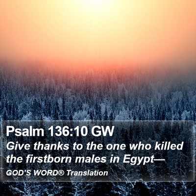 Psalm 136:10 GW Bible Verse Image