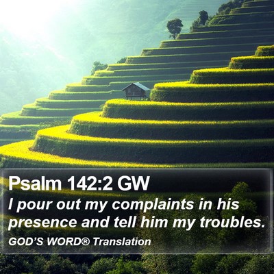 Psalm 142:2 GW Bible Verse Image