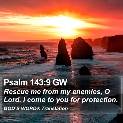 Psalm 143:9 GW Bible Verse Image