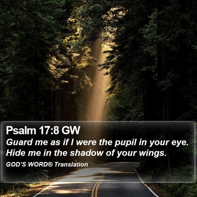 Psalm 17:8 GW Bible Verse Image