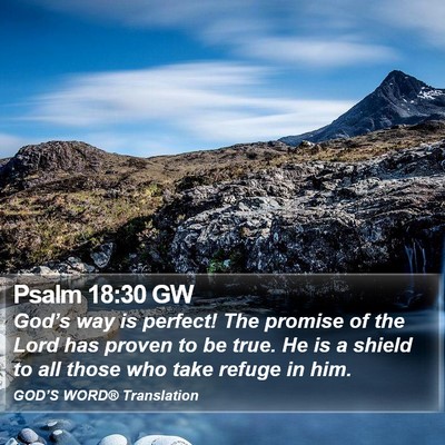 Psalm 18:30 GW Bible Verse Image
