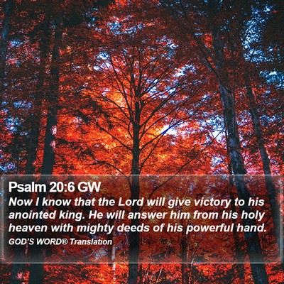 Psalm 20:6 GW Bible Verse Image