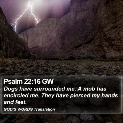 Psalm 22:16 GW Bible Verse Image