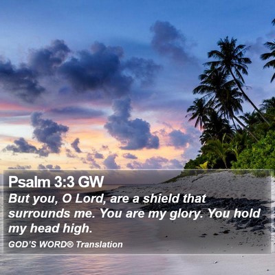Psalm 3:3 GW Bible Verse Image