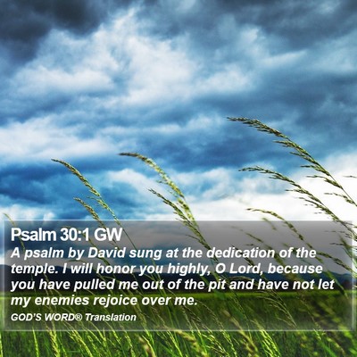 Psalm 30:1 GW Bible Verse Image