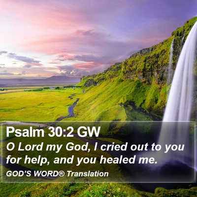 Psalm 30:2 GW Bible Verse Image