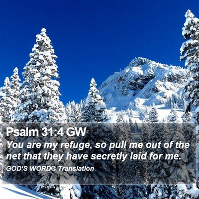 Psalm 31:4 GW Bible Verse Image