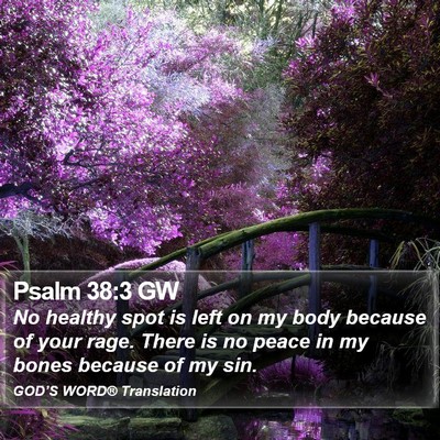 Psalm 38:3 GW Bible Verse Image