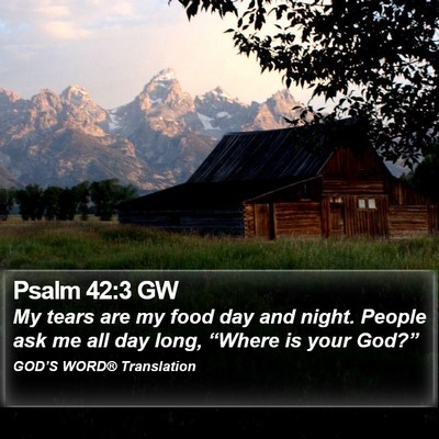 Psalm 42:3 GW Bible Verse Image