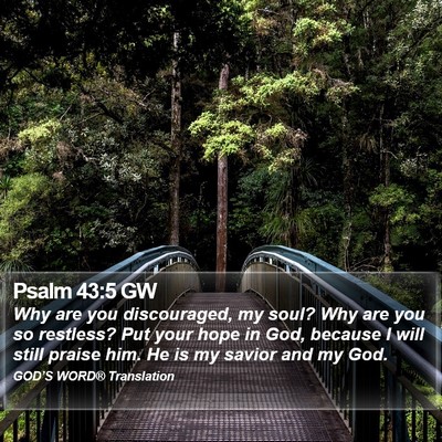 Psalm 43:5 GW Bible Verse Image