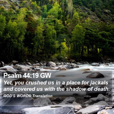 Psalm 44:19 GW Bible Verse Image