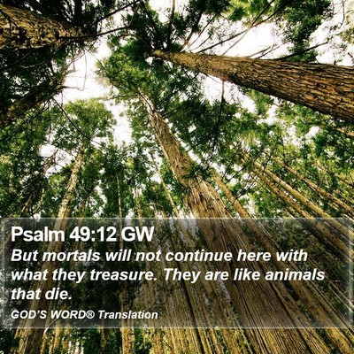 Psalm 49:12 GW Bible Verse Image