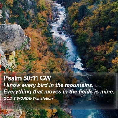 Psalm 50:11 GW Bible Verse Image