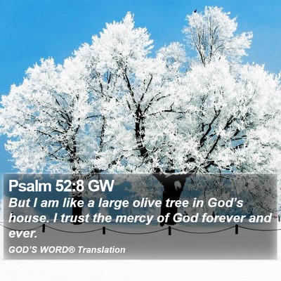 Psalm 52:8 GW Bible Verse Image