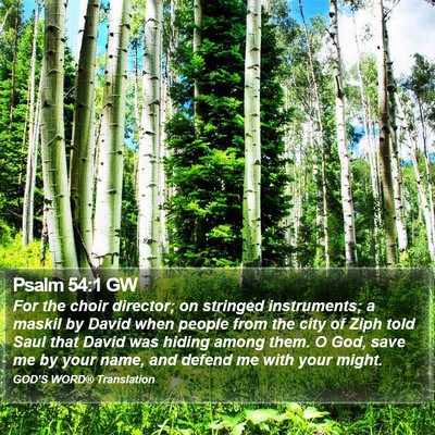Psalm 54:1 GW Bible Verse Image