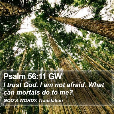 Psalm 56:11 GW Bible Verse Image