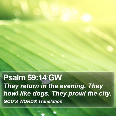 Psalm 59:14 GW Bible Verse Image