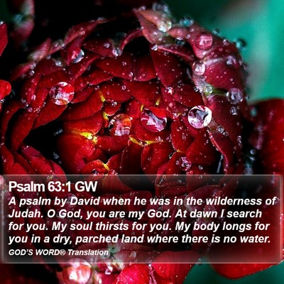 Psalm 63:1 GW Bible Verse Image