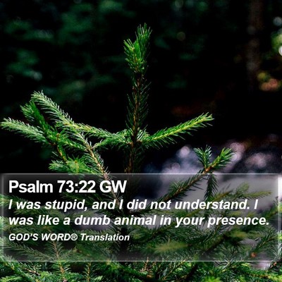 Psalm 73:22 GW Bible Verse Image