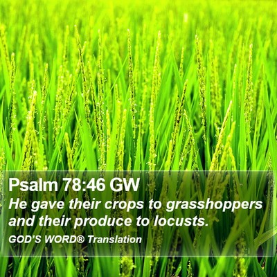 Psalm 78:46 GW Bible Verse Image