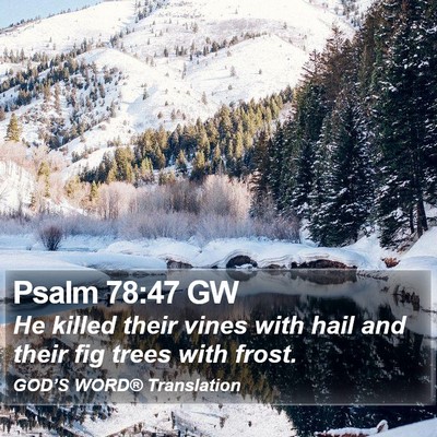 Psalm 78:47 GW Bible Verse Image