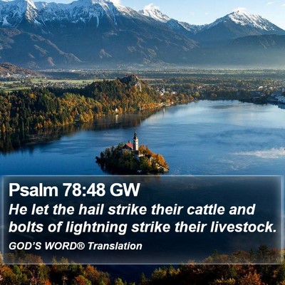 Psalm 78:48 GW Bible Verse Image