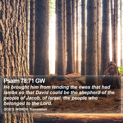 Psalm 78:71 GW Bible Verse Image