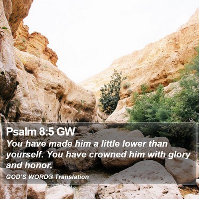 Psalm 8:5 GW Bible Verse Image