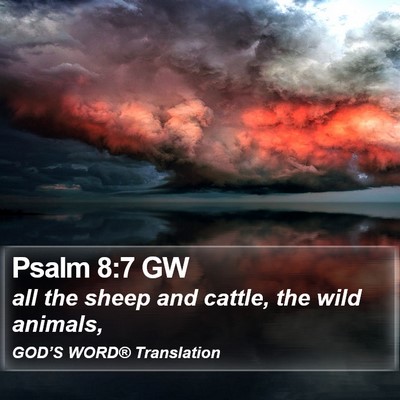 Psalm 8:7 GW Bible Verse Image