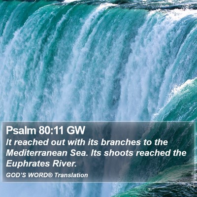 Psalm 80:11 GW Bible Verse Image