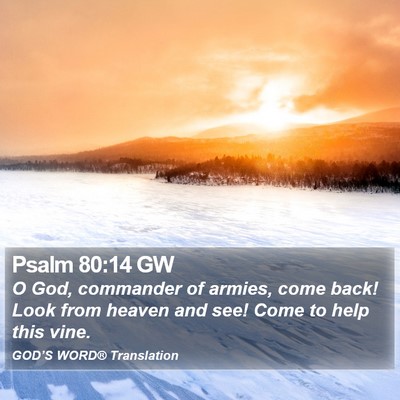 Psalm 80:14 GW Bible Verse Image